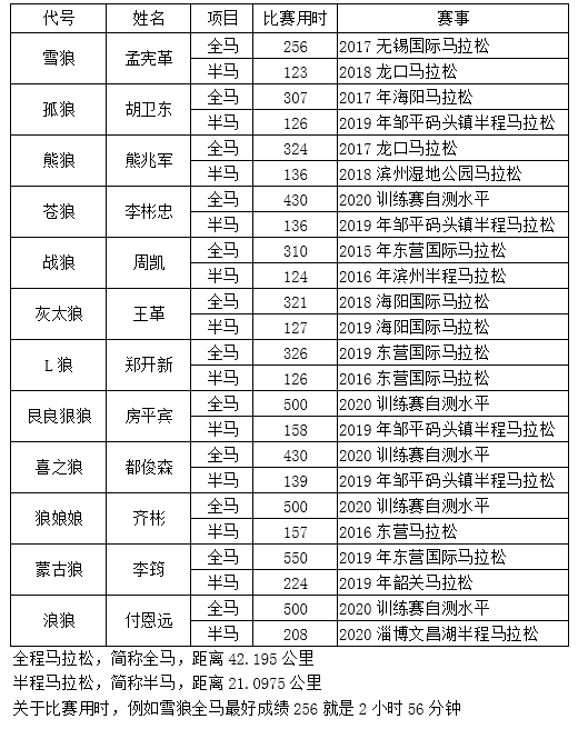 遇見更好的自己-北方的狼 ——?jiǎng)倮摴荞R拉松隊(duì)